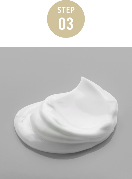 STEP03